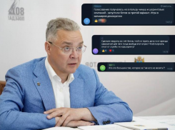 Качели с накрученным самокатным опросом губернатора Ставрополья дошли до федералов