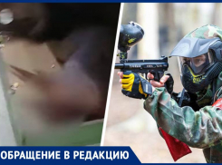 Белок в парке расстреливают из пейнтбольного пистолета в Ставрополе