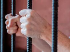 Ставропольского террориста приговорили к 8 годам в колонии