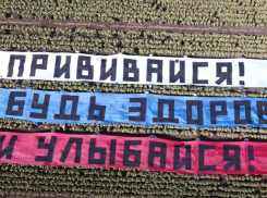 Флаг с призывом прививаться растянули на одном из полей Ставрополья