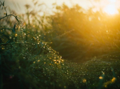 Небольшой дождь и солнце ждут Ставрополь в этот четверг