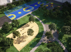 «Ни одно дерево не пострадает»: власти Ставрополя обещают благоустроить пять территорий без зеленых жертв