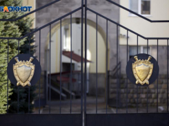 Уволенная со скандалом чиновница вернулась в администрацию Кировского округа через суд