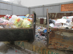 Жительница Ставрополя жалуется Путину на то, что вывоз мусора подорожал, а чище не стало