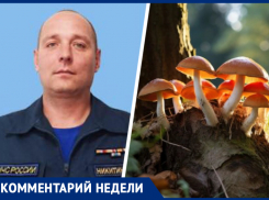 Правилами выживания при сборе грибов на Ставрополье поделился сотрудник МЧС