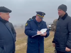 Массовая гибель диких животных зафиксирована уже в 15 округах Ставрополья