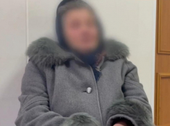 «Сытая собака ни на кого не набросится»: откровения хозяйки псов, которые растерзали 9-летнюю девочку в Ставрополе 