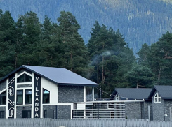 Приглашаем провести время в окружении Кавказских гор, соснового леса и горных рек