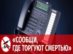 Ставрополь принимает участие во всероссийской противонаркотической акции