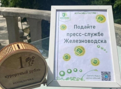 Пресс-служба мэрии Железноводска попрошайничала в день краевых СМИ