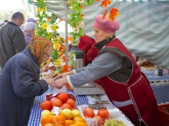 Натуральные продукты будут продавать в Ленинском районе Ставрополя