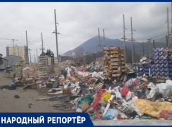 «Экологичные» горы мусора выросли на торговом рынке КМВ