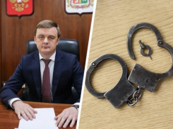 Причиной отставки первого замглавы Ставрополя Грибенника стали махинации с землей на десятки миллионов 