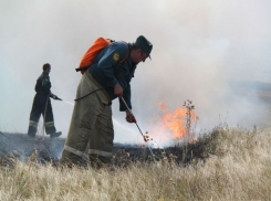 Восемь часов боролись с огнем пожарные за спасение хутора и ферм под Ставрополем 