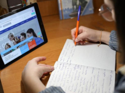 В Ставропольском крае школы в крупных городах уходят на удаленку