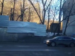 Из-за незаконной вырубки деревьев вблизи санатория «Москва» в Кисловодске возбудили уголовное дело