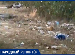 «С наступающим днем города»: захламленная территория лесополосы шокировала ставропольчан