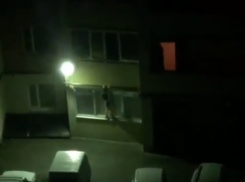 В Ставрополе «Женщина-кошка» попала на видео