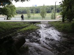 Купание в Комсомольском пруду Ставрополя запретили на несколько дней 