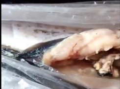 Рыбу с копошащимися внутри червями и личинками купила жительница Ставрополя на Тухачевском рынке