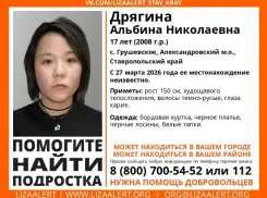 Семнадцатилетнюю девушку разыскивают на Ставрополье