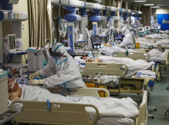 Ставропольский край остается вторым регионом по количеству смертей от CoVID-19 в СКФО