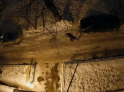 Полиция начнет искать угрожающего ставропольчанке расправой анонима после публикации «Блокнота»