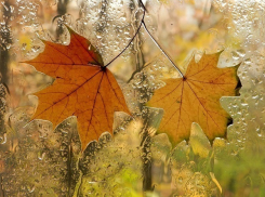 Сильные ливни надвигаются на Ставрополье