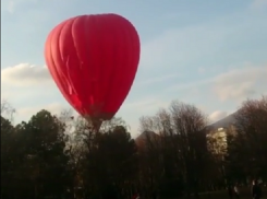 Воздушный шар застрял на дереве в парке Пятигорска