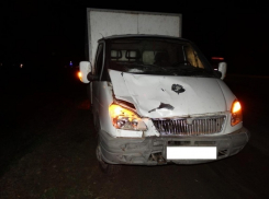 Пятигорчанка погибла под колесами грузовика на Ставрополье