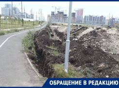 На выкапывание деревьев на проспекте Российском в Ставрополе пожаловались местные жители