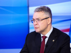 Лес или дорога: глава Ставрополья спросил мнение жителей о строительстве трассы за 8 миллиардов