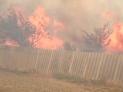 Крупный пожар в поселке произошел около Сенгилеевского озера Ставрополя