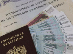 Материнский капитал на 14 млн рублей обналичили мошенники на Ставрополье