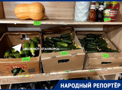 За кило 500 рублей: золотой ценник на огурцы заметили жители Минеральных Вод