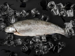 Подозрительная форель приехала в санаторий Кисловодска