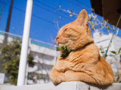 В среду в Ставрополе будет тепло и солнечно