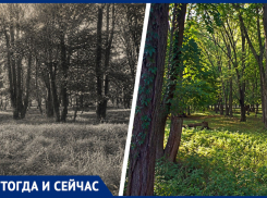 Почему в Ставрополе не появилась туберкулезная больница на месте Бибердовой дачи