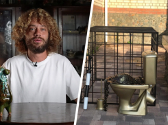 «Полное вторичное говно»: блогер Илья Варламов оценил перформанс с золотым унитазом в Ставрополе