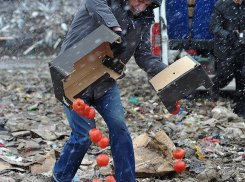 Запрещенные помидоры продавал с «Мерседеса» мужчина в Пятигорске