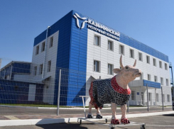 Семь лет развития: Казьминский молочный комбинат Невинномысска отмечает день рождения