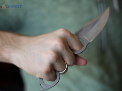 Пьяные жители зарезали ножом бездомную собаку в Труновском округе