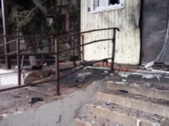 Установлены личности террористов, напавших на отдел полиции в Новоселицком районе Ставрополья