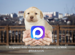 Telegram и принадлежащий экстремистской Meta WhatsApp второй раз за день умерли на Ставрополье 