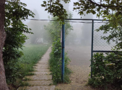 Ставрополь оказался в лидерах по благоустройству и озеленению среди российских городов 