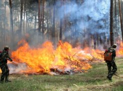 На Ставрополье объявлен режим чрезвычайной пожароопасности