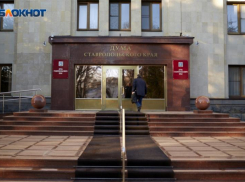 В думе Ставрополья утвердили кандидата на должность уполномоченного по правам человека