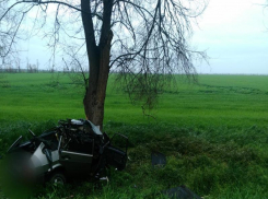 На Ставрополье в результате ДТП погибли два человека