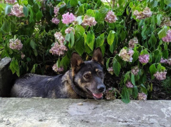 Какая погода ждет жителей Ставрополя 2 апреля 