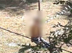 Мертвого мужчину на столбе обнаружили у забора школы в Пятигорске